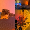 USB Sunset Lamp Sunset Projector Mood Light Living Room Bedr 3