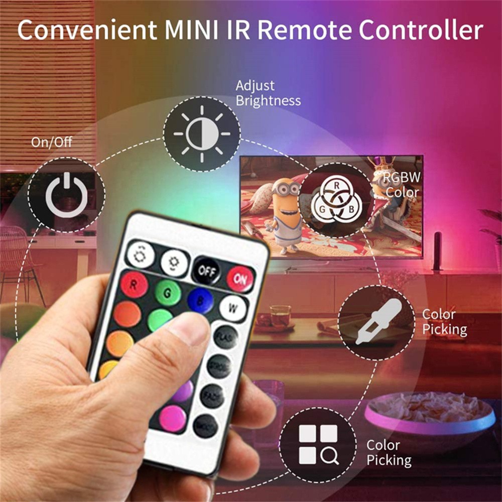 RGB LED Lights with Battery USB 5V LED Strip Lights IR Remot 2