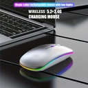 Wireless Mouse RGB Rechargeable USB 2.4GHz Bluetooth Mice Wi 2